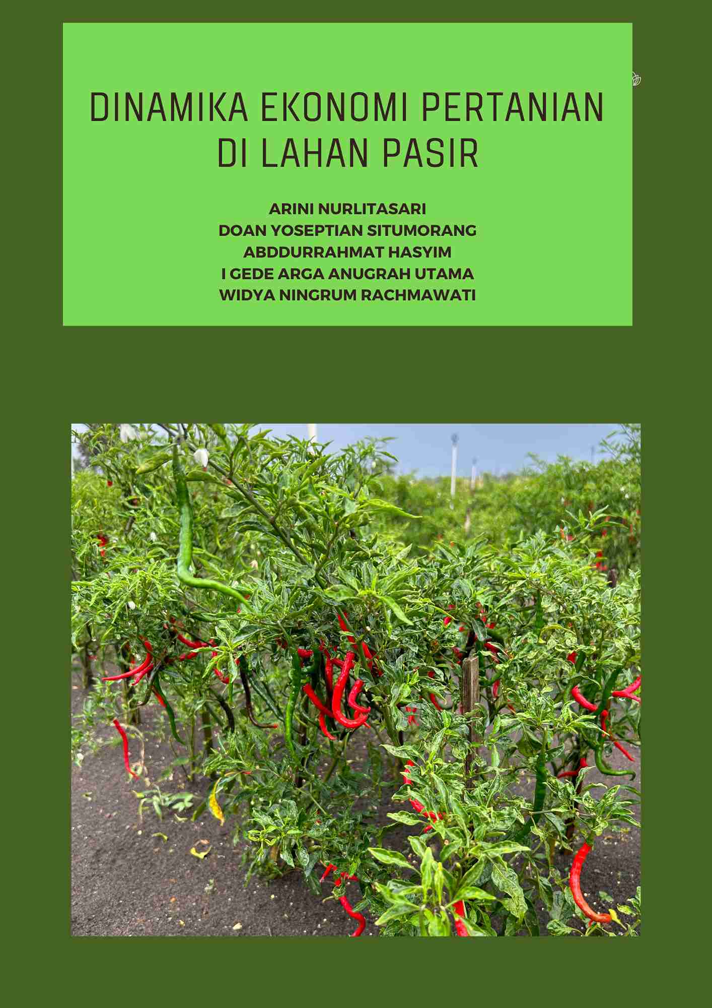 Cover Buku Dinamika Ekonomi Pertanian di Lahan Pasir